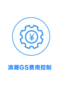 浪潮GS费用控制