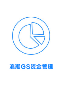 浪潮GS资金管理